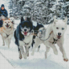 Dog Sled Diamond Painting