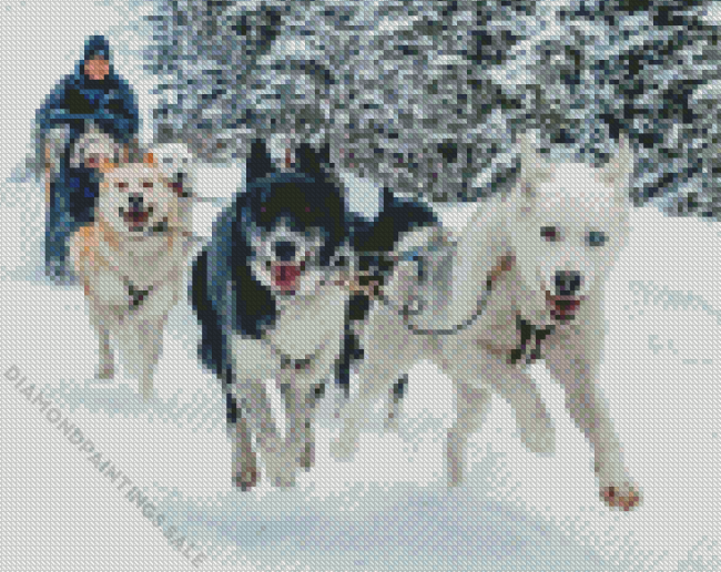 Dog Sled Diamond Painting