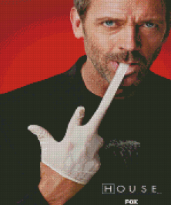 Dr House Hugh Laurie Diamond Painting