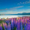 Flowers By Lake Tekapo Diamond Painting