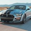 Grey Ford Mustang Shelby Luxury Car Diamond Painting
