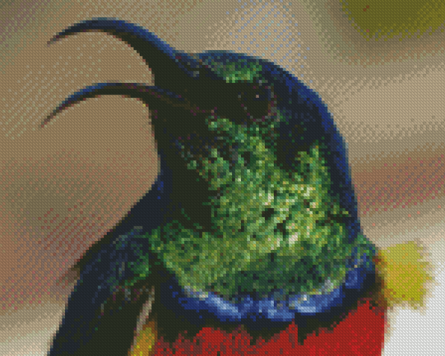 Colorful Sunbird Head Diamond Painting