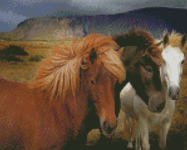 Three Icelandic Horse Diamond Painting