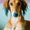 Saluki Dog Face Diamond Painting