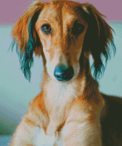 Saluki Dog Face Diamond Painting