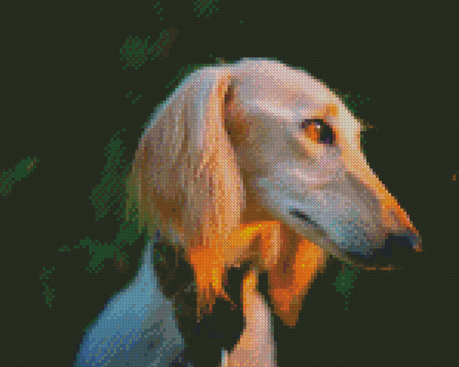 Saluki With Sunset Light Diamond Painting