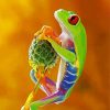 Hippie Frog Animal Diamond Painting