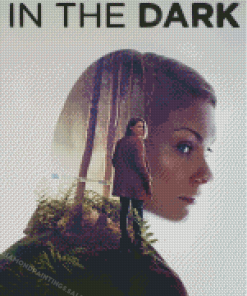 In The Dark Movie Poster Diamond Painting