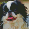 Japanese Chin Diamond Painting