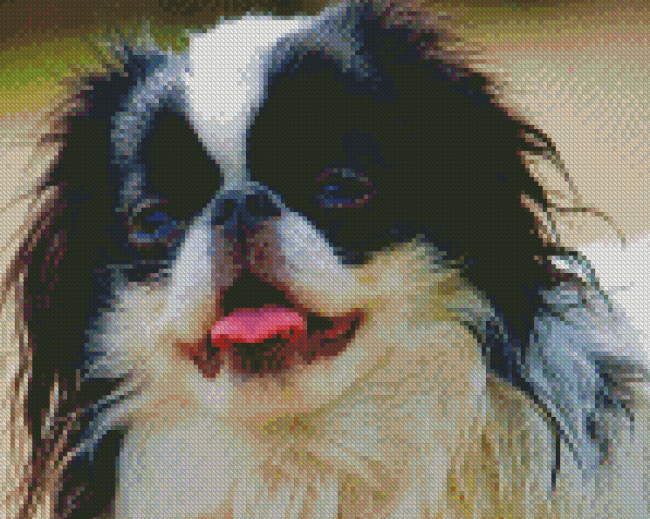 Japanese Chin Diamond Painting