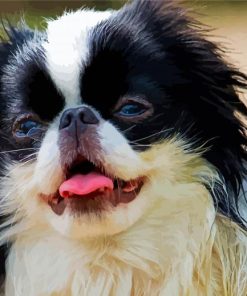 Japanese Chin Diamond Painting