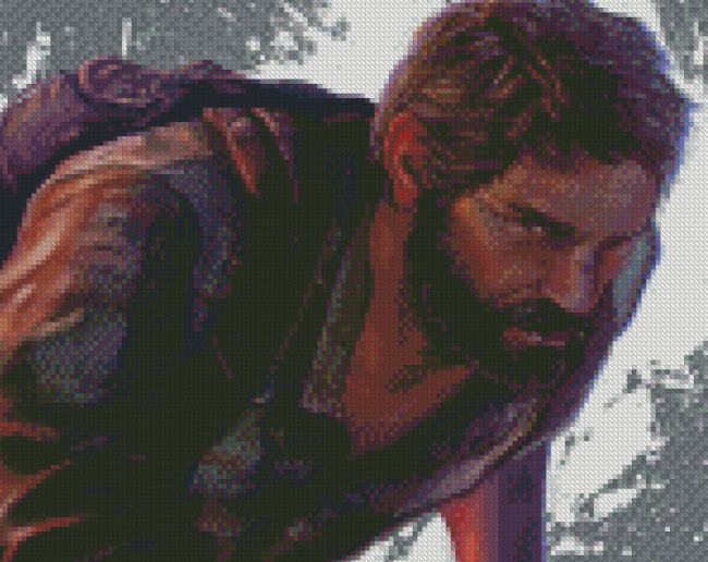 Joel Last Of US Art Diamond Painting