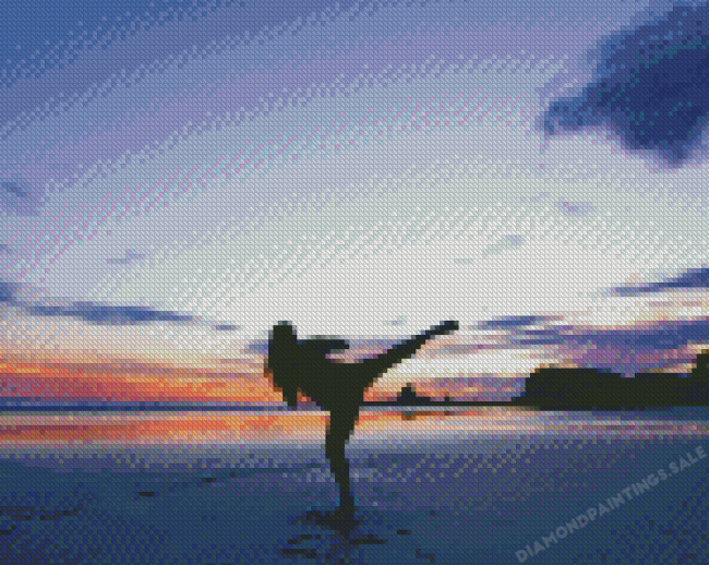 Karate Girl Silhouette Diamond Painting