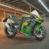 Kawasaki Ninja Motorcycle Diamond Painting