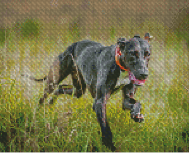 Aesthetic Lurcher Diamond Painting