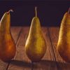 Pears In A Row Diamond Painting