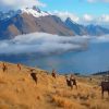 Queenstown Landscape Diamond Painting