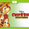 Rescue Rangers Cartoon Poster Diamond Painting