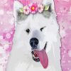 Samoyed Diamond Painting