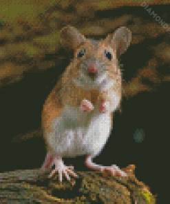 Small Field Mouse Diamond Painting