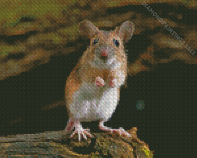 Small Field Mouse Diamond Painting