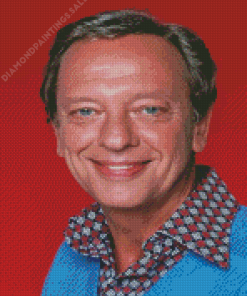 The American Actor Don Knotts Diamond Painting