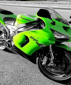 The Kawasaki Ninja Diamond Painting