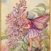 The Lilac Fairy Cicely Mary Barker Diamond Painting