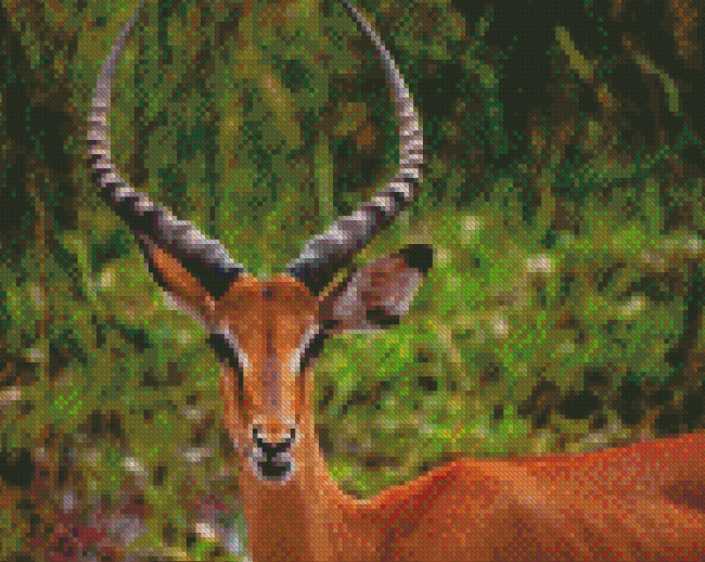 Wild Impala Diamond Painting