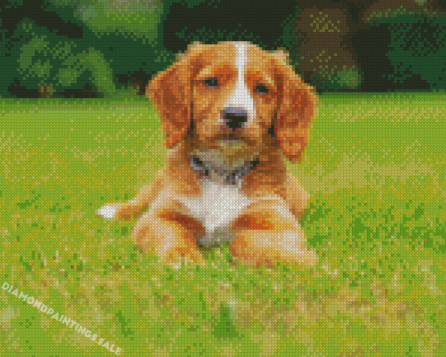 Working Cocker Spaniel Puppy Diamond Painting