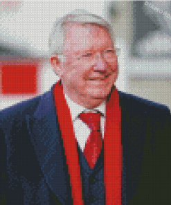 Alex Ferguson Diamond Painting