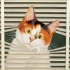 Adorable Cat Window Diamond Painting