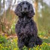 Aesthetic Black Cocker Spaniel Diamond Painting