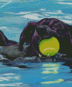 Aesthetic Black Dog Swimming Diamond Painting