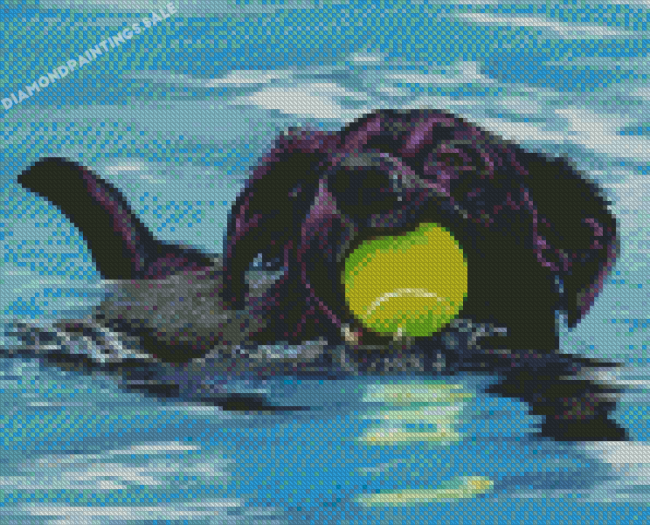 Aesthetic Black Dog Swimming Diamond Painting