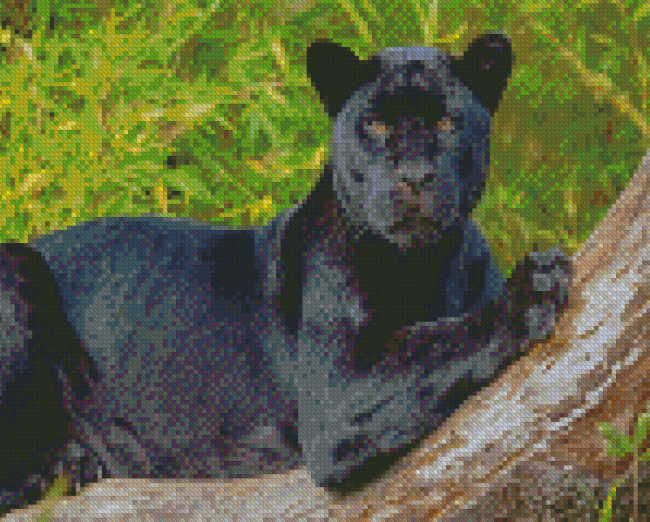 Aesthetic Black Jaguar Diamond Painting