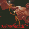 Aesthetic Bloodsport Diamond Painting