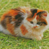 Aesthetic Calico Cat Diamond Painting