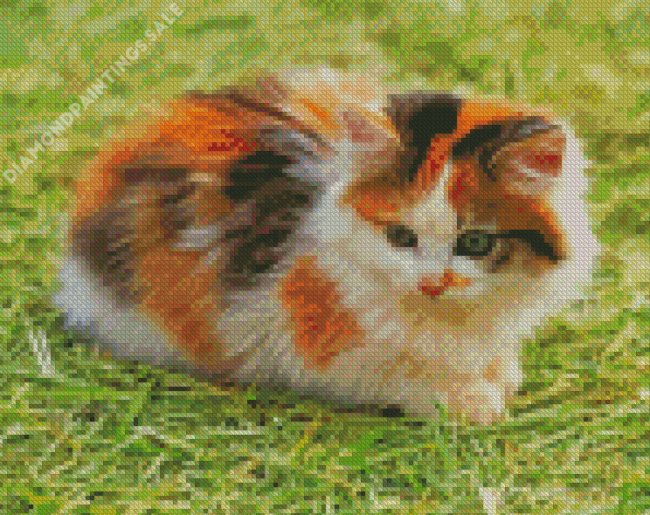 Aesthetic Calico Cat Diamond Painting