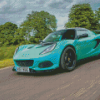 Aesthetic Lotus Elise Diamond Painting