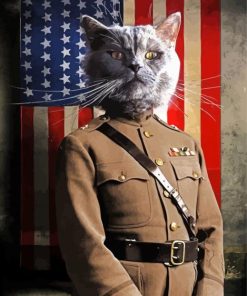 Aesthetic Military Cat Art Diamond Painting