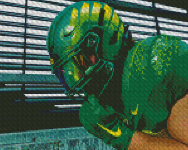 Aesthetic Oregon Ducks Diamond Painting