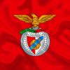 Aesthetic Simbolo Benfica Diamond Painting