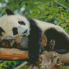 Aesthetic Sleeping Panda Diamond Painting