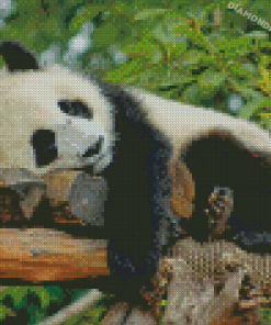 Aesthetic Sleeping Panda Diamond Painting