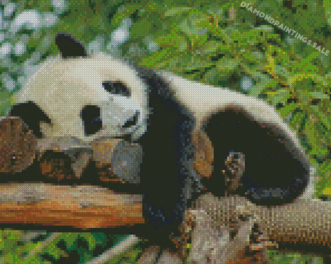 Aesthetic Sleeping Panda Diamond Painting