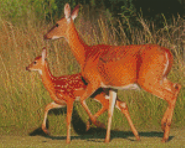 Aesthetic Doe And Fawn Diamond Painting