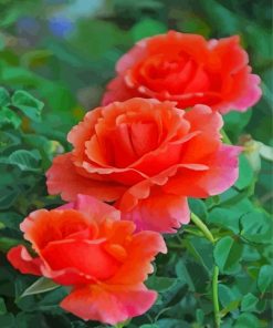 Aesthetic Orange Roses Diamond Painting