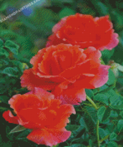 Aesthetic Orange Roses Diamond Painting