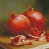 Aesthetic Pomegranate Diamond Painting